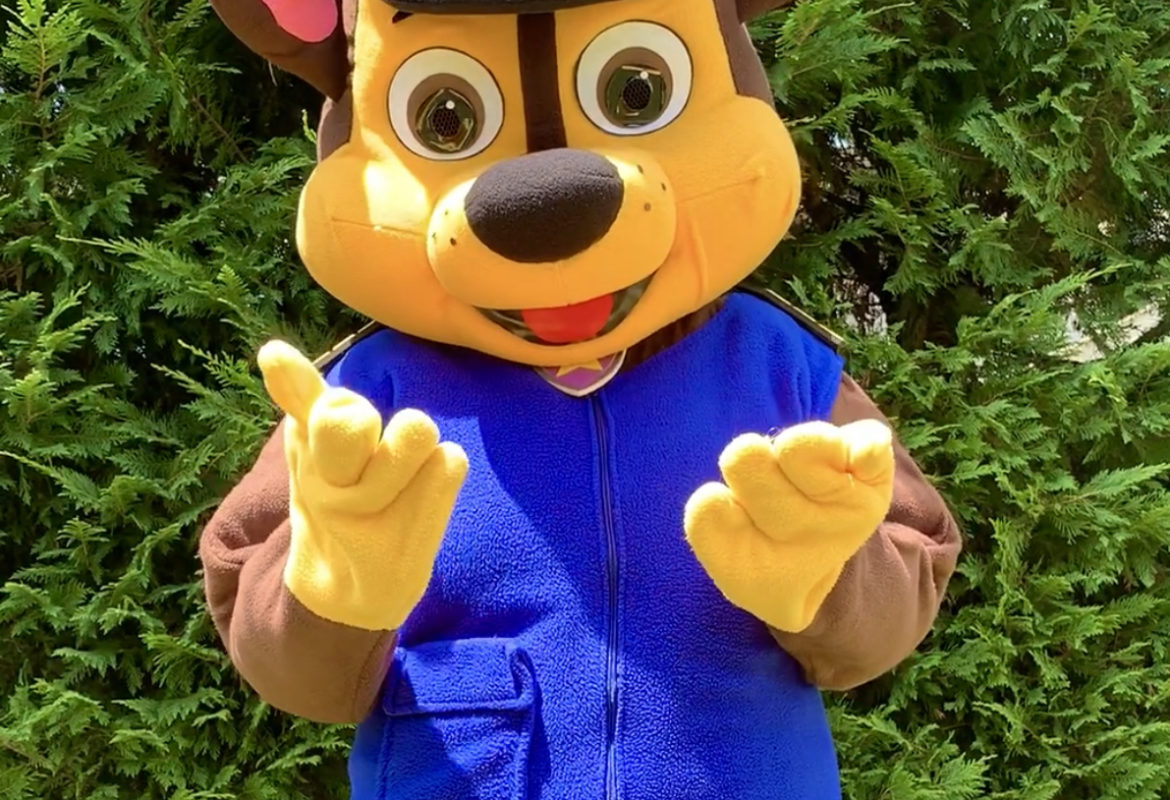 NY Cartoon Characters for Kids Parties